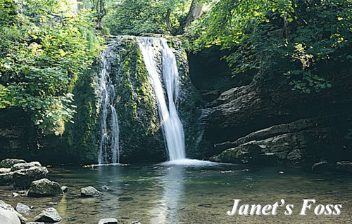 Janet's Foss Picture Magnets