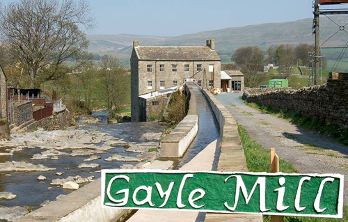 Gayle Mill Picture Magnets