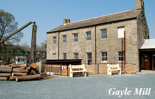 Gayle Mill Picture Magnets