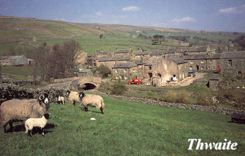 Thwaite Picture Magnets