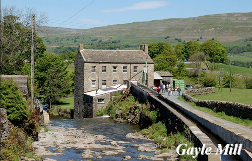 Gayle Mill Picture Magnets