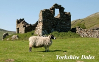 Yorkshire Dales Picture Magnets