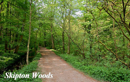 Skipton Woods Picture Magnets