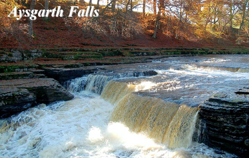 Aysgarth Falls Picture Magnets