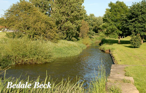 Bedale Beck Picture Magnets