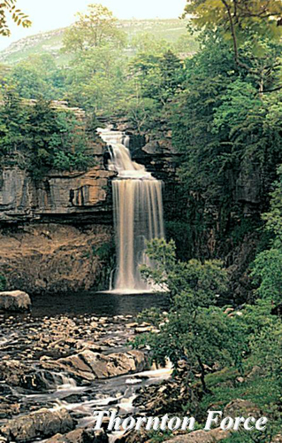 Thornton Force Picture Magnets