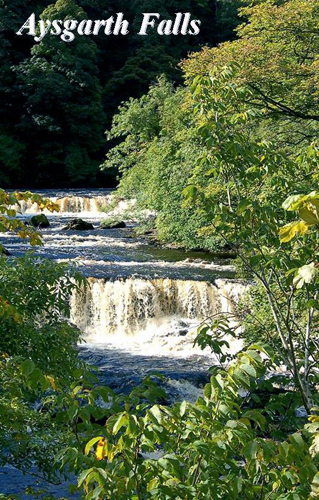 Aysgarth Falls Picture Magnets