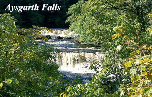 Aysgarth Falls Picture Magnets