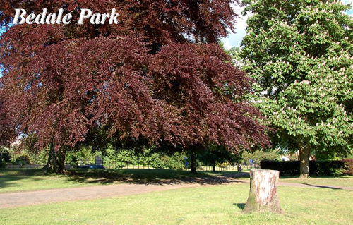 Bedale Park Picture Magnets