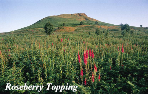 Roseberry Topping Picture Magnets