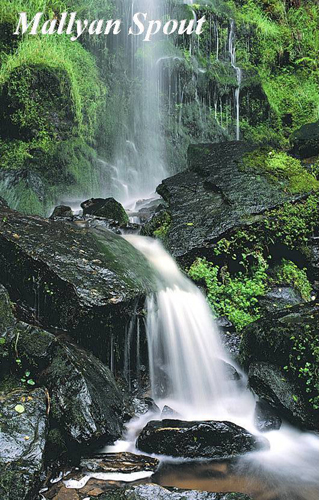 Mallyan Spout Picture Magnets