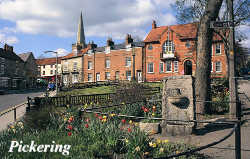 Pickering Picture Magnets