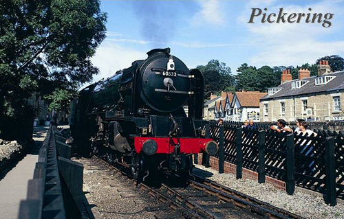 Pickering Picture Magnets