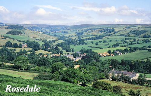 Rosedale Picture Magnets