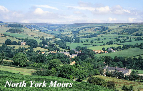 North York Moors Picture Magnets