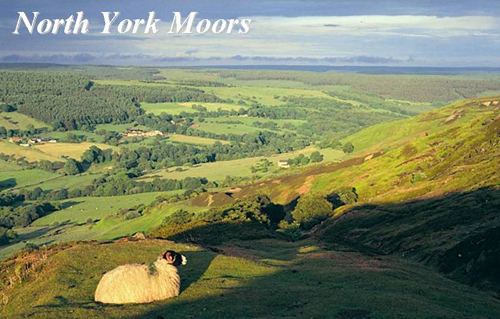 North York Moors Picture Magnets
