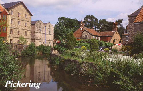 Pickering Picture Magnets