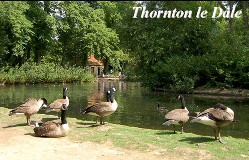 Thornton le Dale Picture Magnets