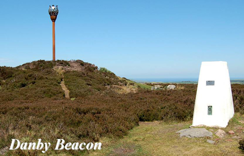 Danby Beacon Picture Magnets