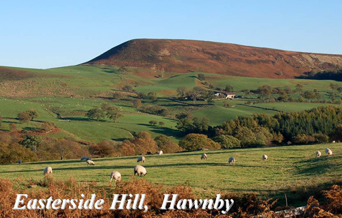 Easterside Hill, Hawnby Picture Magnets