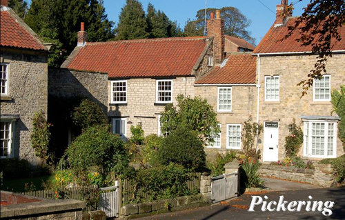 Pickering Picture Magnets