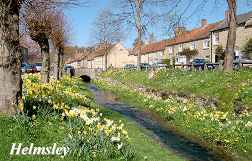 Helmsley Picture Magnets