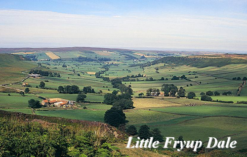 Little Fryup Dale Picture Magnets