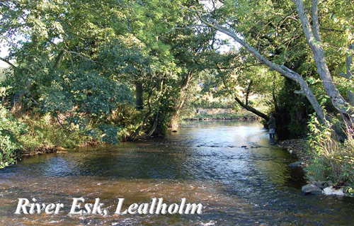 Rive Esk, Lealholm Picture Magnets