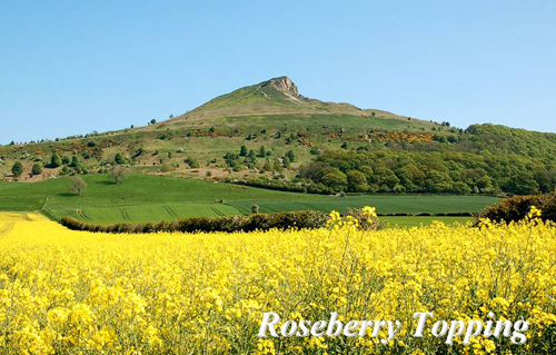 Roseberry Topping Picture Magnets