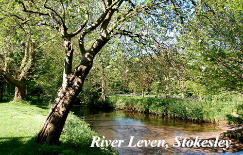 River Leven, Stokesley Picture Magnets