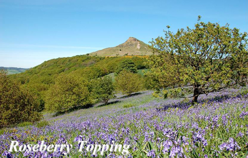 Roseberry Topping Picture Magnets