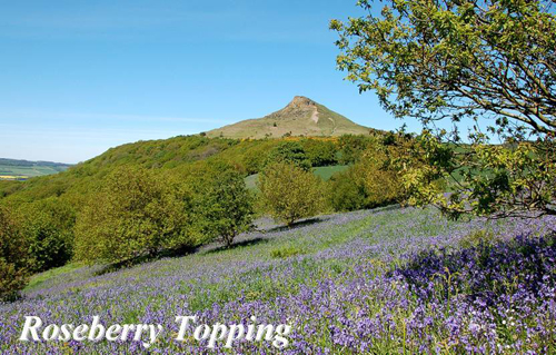 Roseberry Topping Picture Magnets