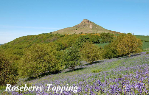 Roseberry Topping Picture Magnets