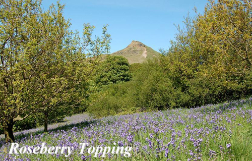 Roseberry Topping Picture Magnets