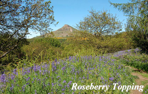 Roseberry Topping Picture Magnets