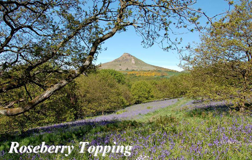 Roseberry Topping Picture Magnets