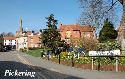 Pickering Picture Magnets