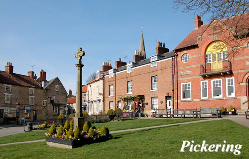 Pickering Picture Magnets