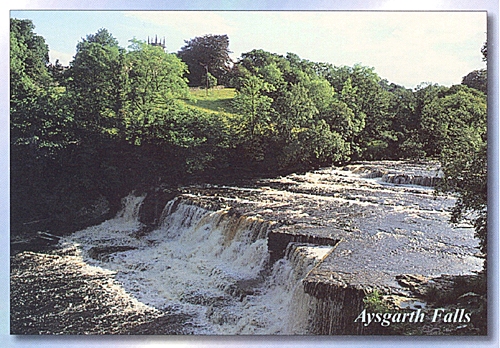 Aysgarth Falls Postcards
