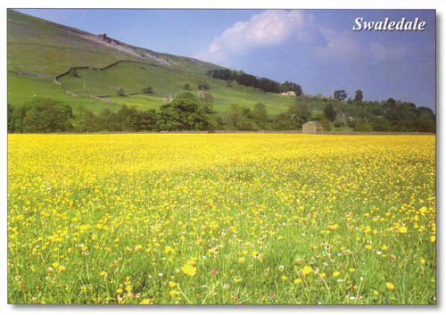 Swaledale postcards