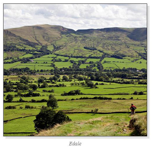 Edale Square Cards