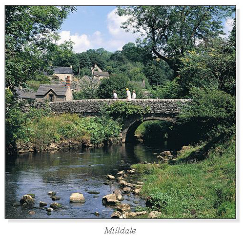 Milldale Square Cards