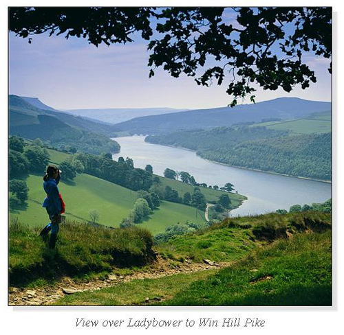 Ladybower Square Cards