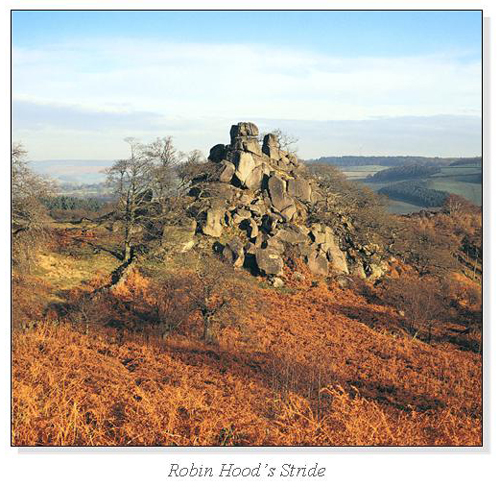 Robin Hood's Stride Square Cards