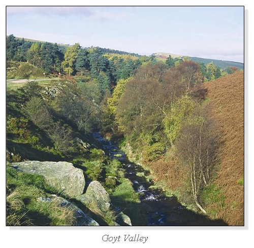 Goyt Valley Square Cards
