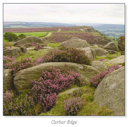 Curbar Edge Square Cards