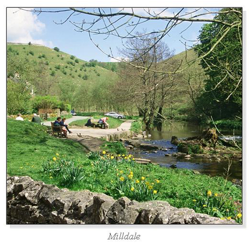 Milldale Square Cards