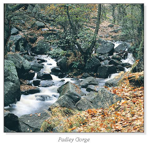 Padley Gorge Square Cards