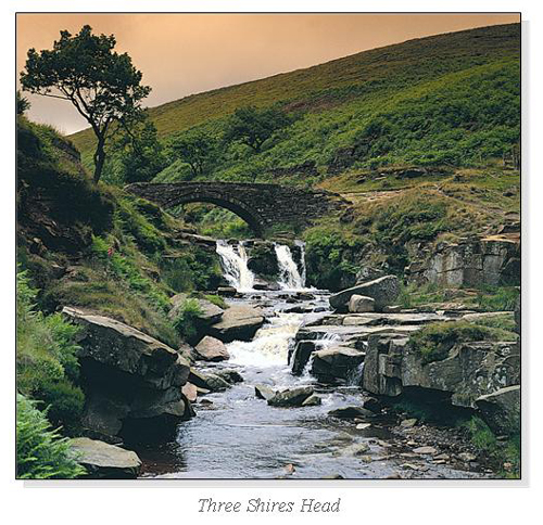 Three Shires Head Square Cards