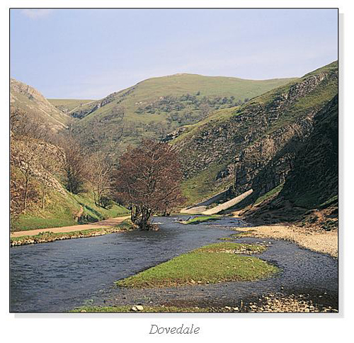 Dovedale Square Cards